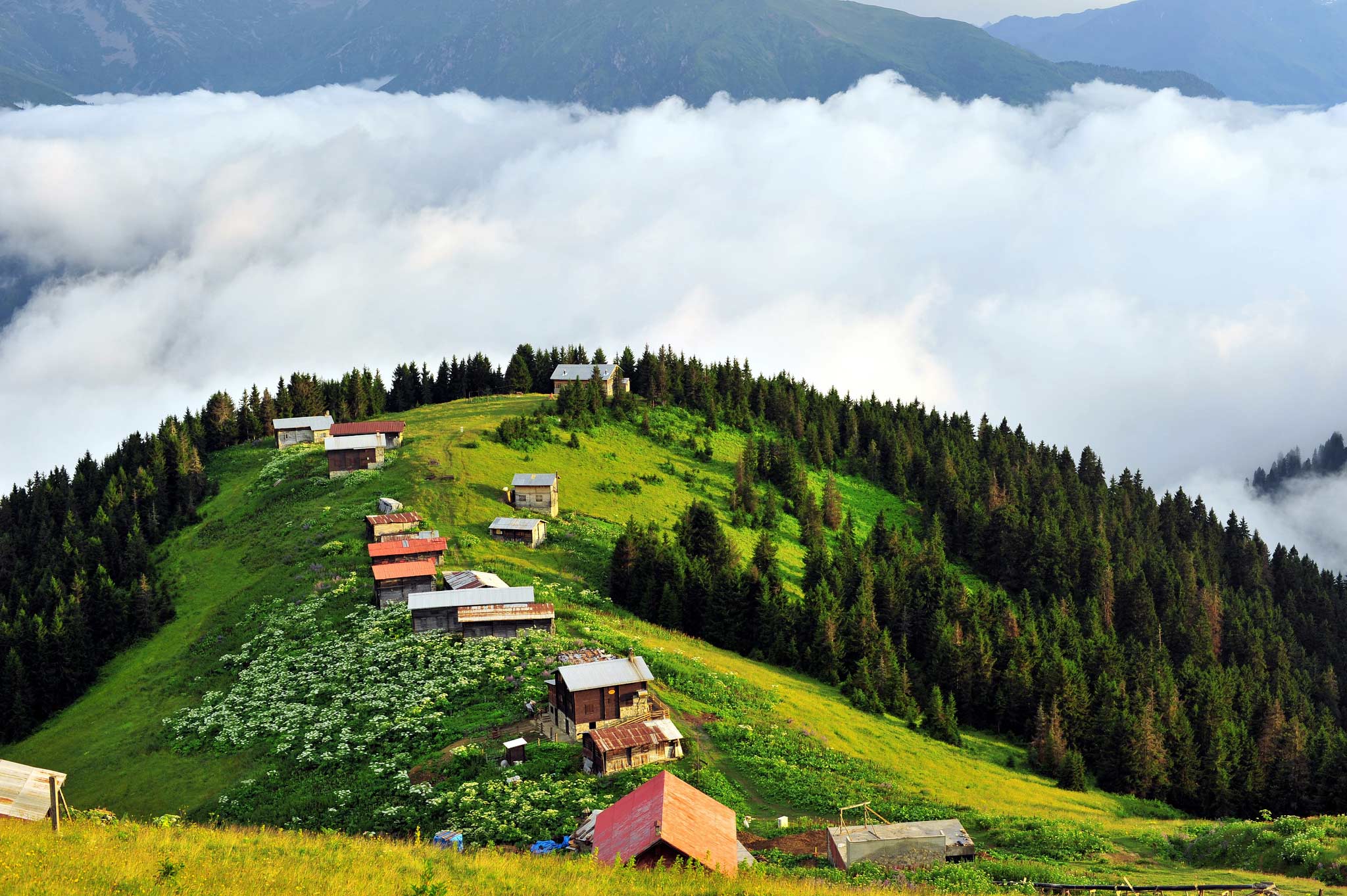 Neden Rize ?