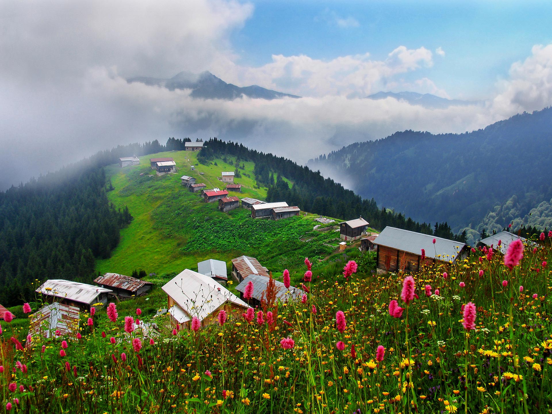 Rize'de tatil yaparken dikkat edilmesi gereken bazı önemli noktalar şunlardır: